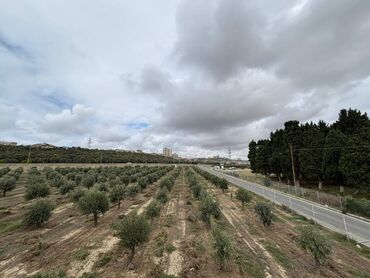 Həyət evləri və villaların satışı: 4 otaqlı, 150 kv. m, Yeni təmirli -da lalafo.az — 29 Həyət evləri və villaların satışı: 4 otaqlı, 150 kv. m, Yeni təmirli — 29