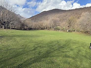 Torpaq sahələrinin satışı: 35 sot, Mülkiyyətçi — 7