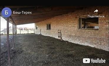 куры живые: Продаю кошару. Расположена в Московском районе, село Беш Терек — 2