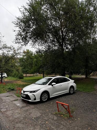 Продажа квартир: 5 и более комнат, 132 м², Индивидуалка, 5 этаж, Евроремонт — 14