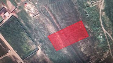 Torpaq sahələrinin satışı: 54 sot, Kənd təsərrüfatı, Maklerlər narahat etməsin, Kupça (Çıxarış) — 1