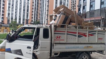 кошка с разными глазами: Вывоз мусора вывоз мусора Вывоз мусора вывоз мусора Вывоз мусора