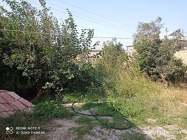 bine atciliq satilan evler: 5 otaqlı, 120 kv. m, Kredit yoxdur, Yeni təmirli — 8