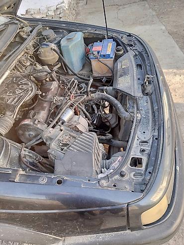 Volkswagen: Volkswagen Passat Variant: 1989 г., 1.8 л, Бензин, Универсал — 9