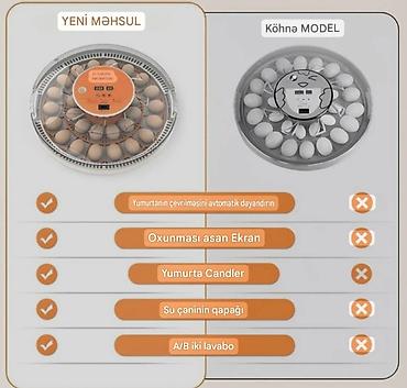 Инкубаторы: Китай, Полностью автоматическая — 4