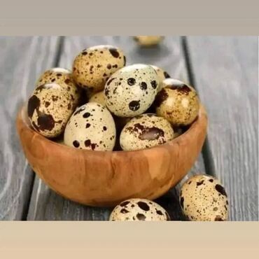 Zdrava hrana: U stalnoj ponudi uvek sveža i lekovita jaja japanskih prepelica. Cena — 15