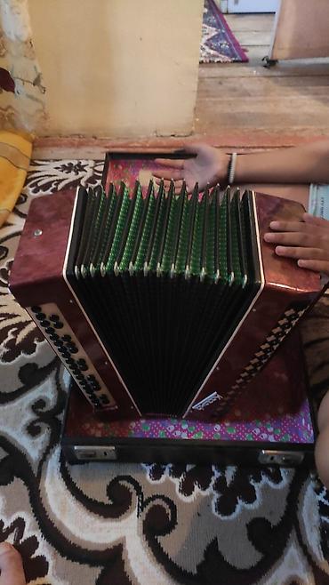 panda baligi: Harmoniya (akordeon) – Kazan Musiqi Alətləri Fabriki istehsalı Model — 2