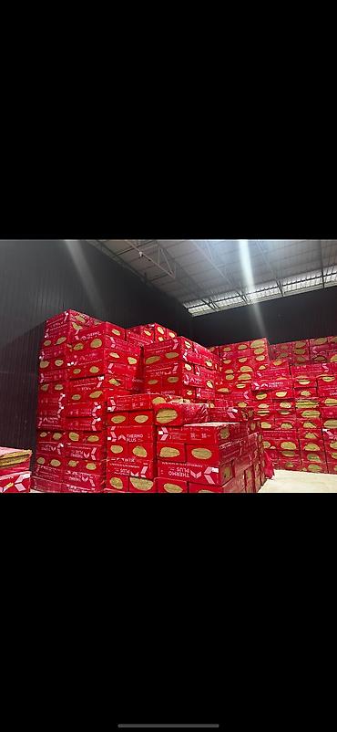 Базальтовый утеплитель: Базальтовый утеплитель, Другой бренд, Другое назначение, Толщина: Другая толщина, Плотность: Другая плотность кг/м³, Плиты, Оптом — 10