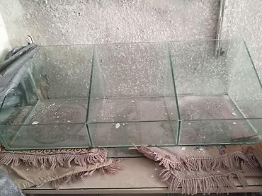 künc rəf: Mağaza üçün avadanlıq paketi - Şüşə vitrin bölmələri: 4 ədəd şəffaf — 3