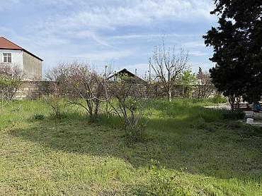 bilğəh: Bakı, Bilgəh qəs., 62 kv. m, 3 otaqlı, Hovuzsuz, Kanalizasiya, Qaz, Su — 4
