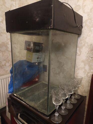 Qabyuyan maşınlar: Qabyuyan maşın Gorenje, Tam qabaritli (60 sm.), Quraşdırılan — 2