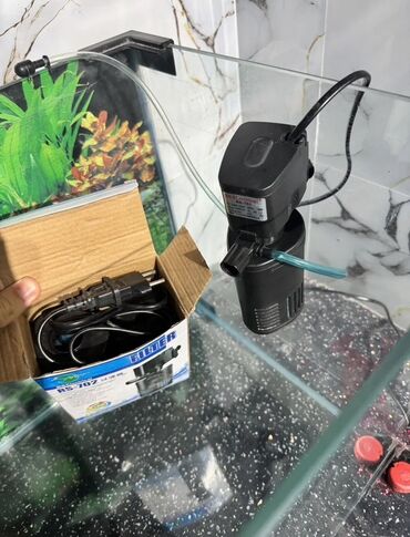 купить собаку в: Salam Akvarium yenidir Şəkildə gördüyünüz aparatları üzərində hədiyə