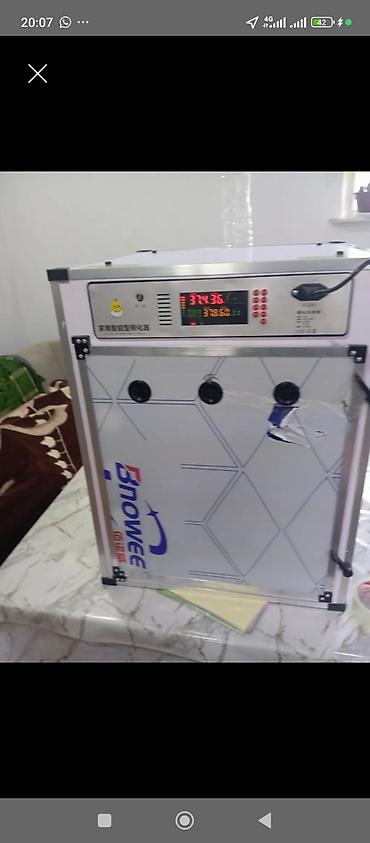 Товары и оборудование для с/х животных: Инкубаторы китайский сатылат жаңы полный автомат свет очсо 12 вольт — 5