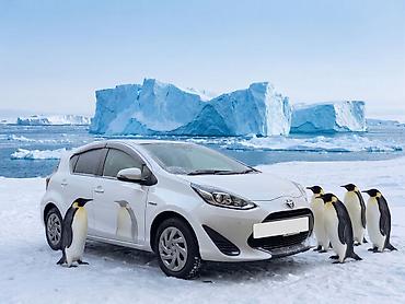 tank 3 pro: Toyota Aqua: 1.5 l | 2019 il Hetçbek — 5