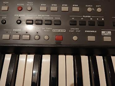 korq pa 80: Korg Pa600 aranjor klaviatura - 61 klaviş, dinamik həssaslıq - Rəngli — 4