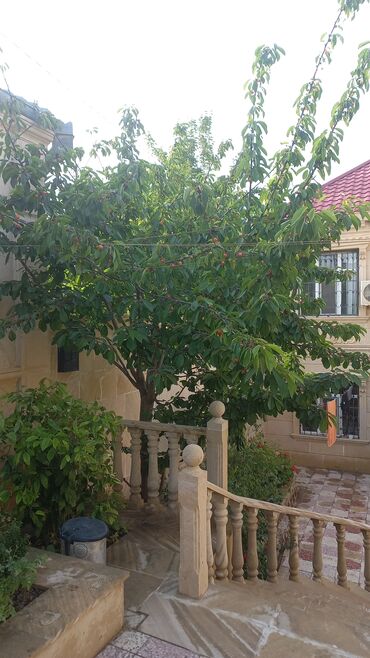 Həyət evləri və villaların satışı: Qaraçuxur qəs. 8 otaq, 220 kv. m, Kredit var, Orta təmir — 17