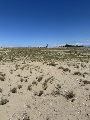 Продажа участков: 8 соток, Для сельского хозяйства, Договор купли-продажи — 5