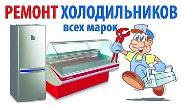 витрынный холодильник: Ремонт холодильников всех марок. Ремонт холодильников всех марок — 1