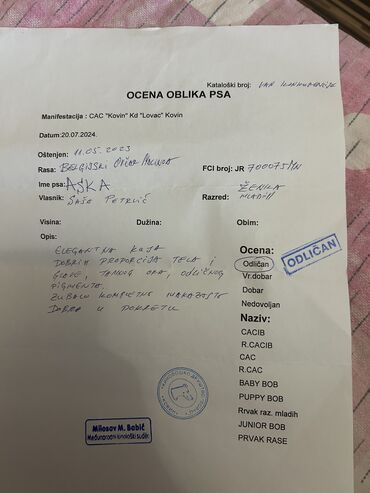 Psi: Na prodaju su stenci malinoa tri zenke i pet muzjaka, trenutno se vrsi — 11