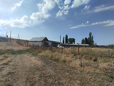 степной: Кошара, 20 соток, Не действующий, Частично с оборудованием, Электричество — 4