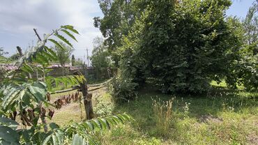 Torpaq sahələrinin satışı: Tikinti — 18