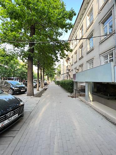 помещение балыкчы: Продажа офисов 346 м², С ремонтом, Многоэтажное здание, 1 этаж — 3