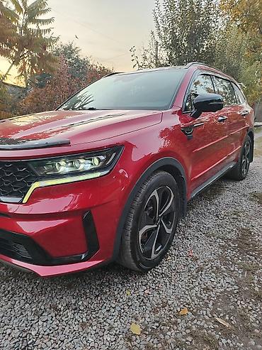 киа полисад: Kia Sorento: 2021 г., 2.5 л, Автомат, Бензин, Кроссовер — 4