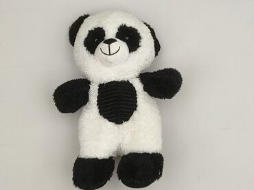 Mascot Teddy bear, condition - Very good