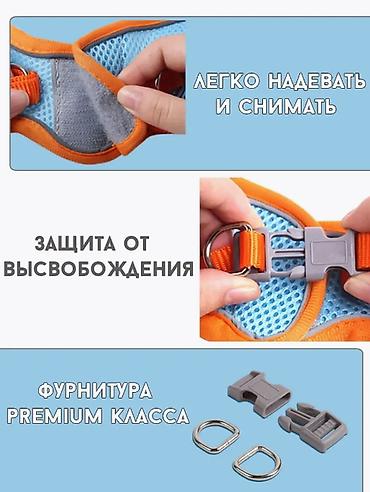 для собак: Светоотражающая шлейка для кошек и собак с поводком для прогулки — 8