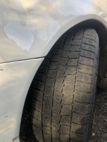 18 разноширокие: Шины 245 / 50 / R 18, Зима, Легковые, Dunlop