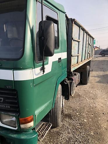 Грузовики: Грузовик, Volvo, Стандарт — 18