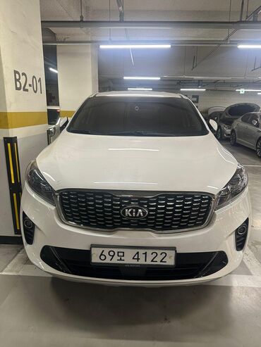 краски балончик: Kia Sorento: 2018 г., 2 л, Автомат, Дизель, Кроссовер