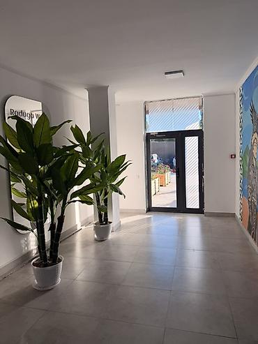 Продажа квартир: 1 комната, 35 м², Индивидуалка, 1 этаж, Евроремонт — 3