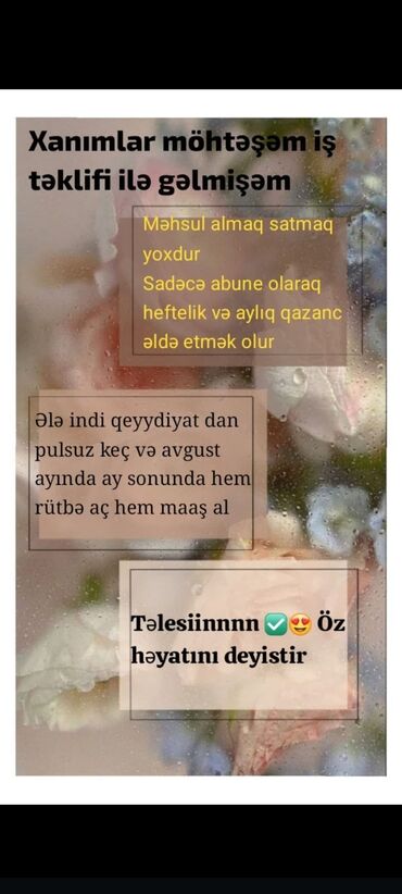 Əməkdaş axtarışı (vakansiyalar): SMM menecer tələb olunur, Onlayn iş, İstənilən yaş, Təcrübəsiz