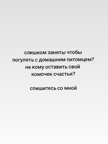 Другие услуги: Услуги по уходу за домашними животными и выгулу - Выгул собак по