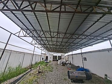 naves bəzəkləri: Metal konstruksiyali naves,8 m. eni uzunlugu 50 m. satilir isteyen — 1