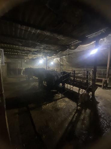 Həyət evləri və villaların satışı: 1 otaqlı, 10 kv. m -da lalafo.az — 12 Həyət evləri və villaların satışı: 1 otaqlı, 10 kv. m — 12