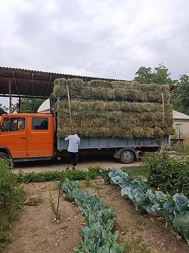 krone sd: Грузовик, Mercedes-Benz, Дубль, 5 т, Б/у — 4
