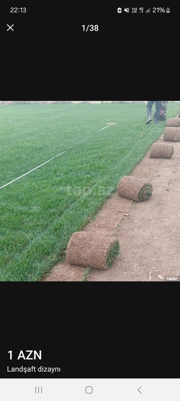 Landşaft işləri: Məhsul/xidmət: Landşaft dizaynı və hazır qazon (rulet qazon) işləri — 1