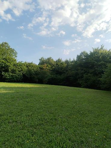 Torpaq sahələrinin satışı: 92 sot, Biznes üçün, Mülkiyyətçi, Kupça (Çıxarış), Bələdiyyə, Müqavilə — 6