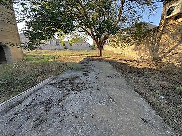 Torpaq sahələrinin satışı: 6 sot, Maklerlər narahat etməsin, Müqavilə — 3