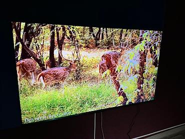 google: Телевизоры- yasin 75Q90 и 190 см 75" 4k (google tv) - описание — 4
