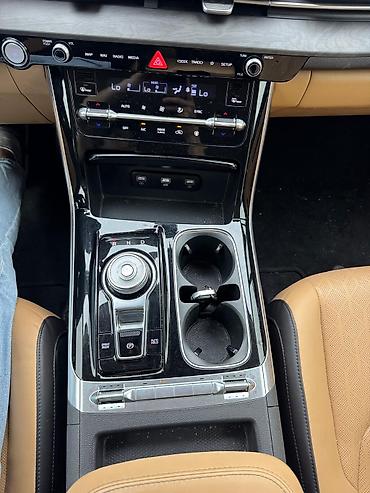 Kia: Kia Carnival: 2020 г., Автомат, Дизель, Минивэн — 18