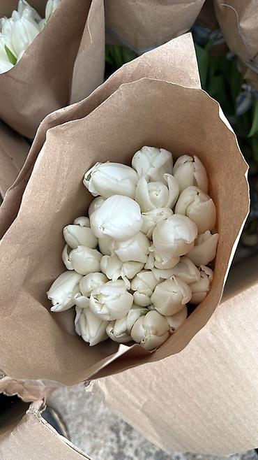 Букеты из живых цветов: Тюльпаны с теплицы — свежесрезанные, на крепком стебле, с тугими — 3