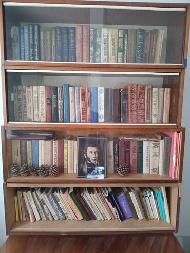 книга для чтения 2 класс озмитель: Детектив, На русском языке, Б/у, Самовывоз, Платная доставка