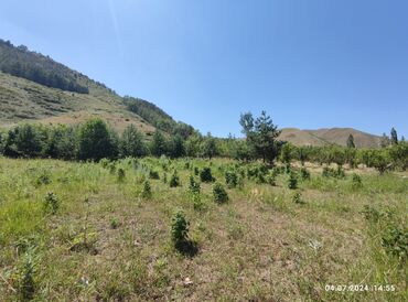 Продажа участков: 255 соток, Для сельского хозяйства — 7