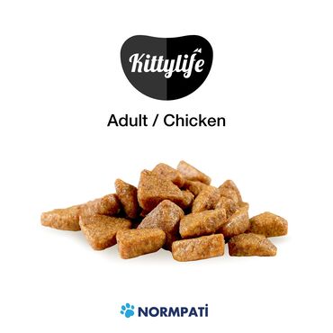 Зоотовары: 🐾 Сухой корм KITTY LIFE — вкус и здоровье в каждой миске! 🔹 Корм для — 16