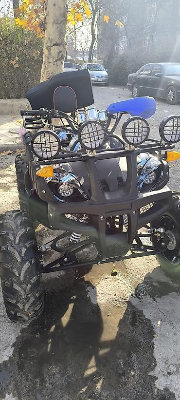 Квадроциклы: Квадроцикл ATV (двухместный), внедорожный. Основные характеристики и — 10