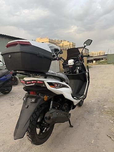 t max: Скутер Макси 0 пробег! Новый! Защиткой - Кузов спортивного стиля — 6