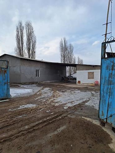 участки на иссык куле купить: ПРОДАЮ ФЕРМУ. РАСПОЛОЖЕНИЕ ФЕРМЫ, СОКУЛУКСКИЙ РАЙОН,ОТ ЦЕНТРА СОКУЛУКА — 6
